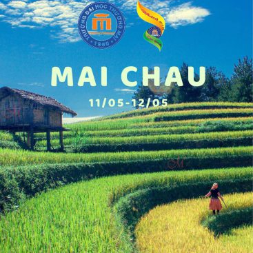 MAI CHÂU – MÙA LÚA CHÍN